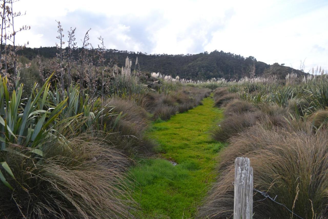 Manuka Views - Close To Thermal Hot Pools Kaukapakapa 外观 照片